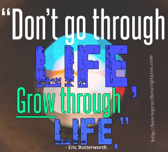 dont go through life, grow through life