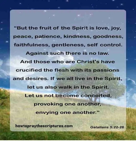 fruit of the spirit bible verse