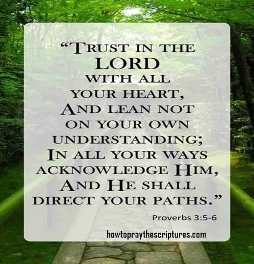 12 Bible Verses About Strength