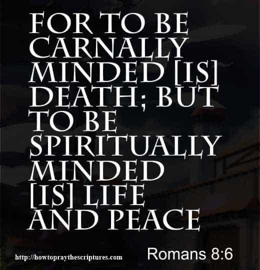 12 Scriptures On Peace