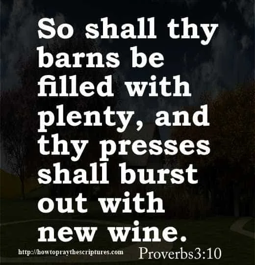 12 Bible Verses For Graduates