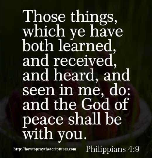 Scriptures On Peace
