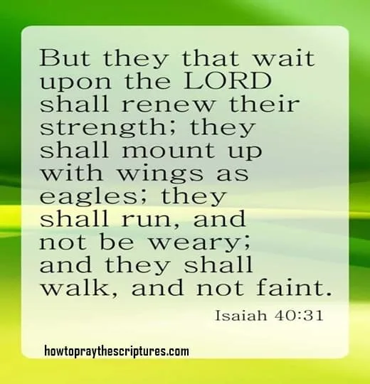 But they that wait upon the LORD shall renew their strength