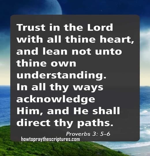 Trust In The Lord With All Your Heart- Proverbs 3-5