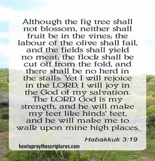 Although the fig tree shall not blossom neither shall