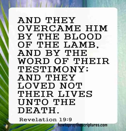 And They Overcame Him By The Blood Of The Lamb