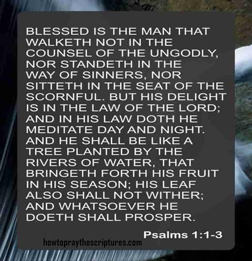 Blessed Is The Man That Walketh Not In The Counsel