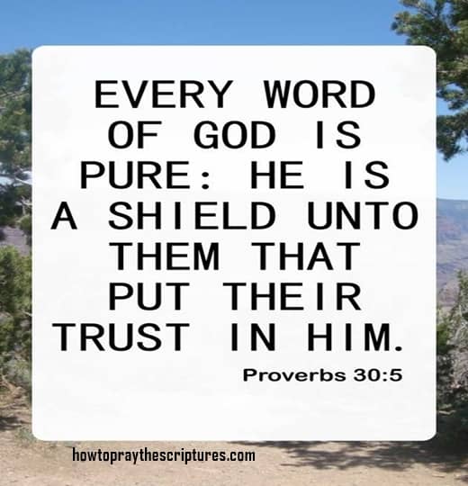 Every Word Of God Is Pure