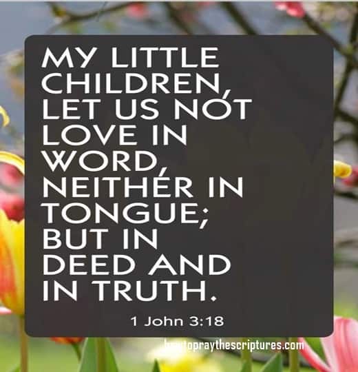 My Little Children Let Us Not Love In Word