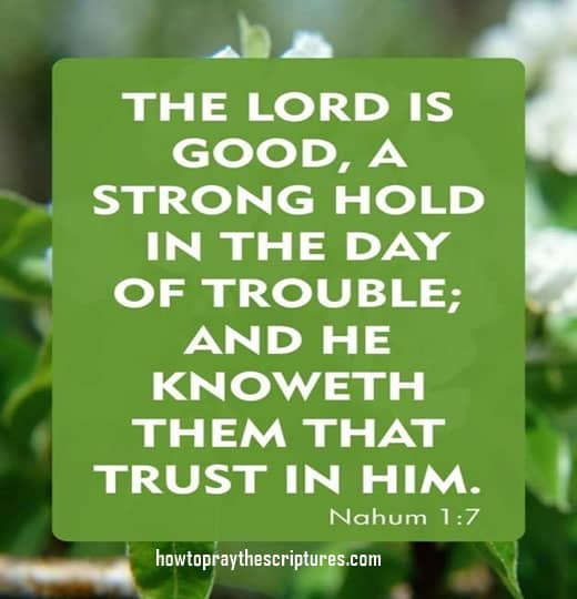 The Lord Is Good A Strong Hold In The Day Of Trouble
