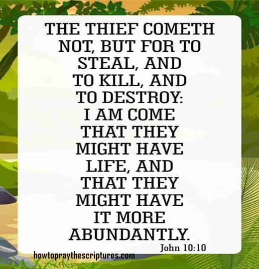 The Thief Cometh Not But For To Steal And To Kill
