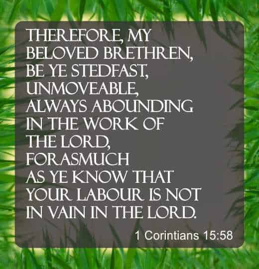 Therefore my beloved brethren be ye stedfast unmoveable