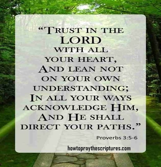 Trust In The Lord With All Thine Heart