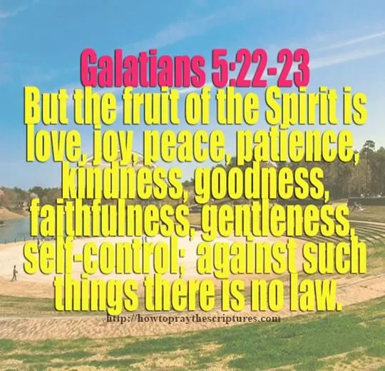 A Selection of 12 Christian Bible Verses