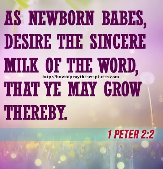Bible Verses About Babies