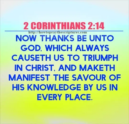 Top Ten Bible Verses About Hope