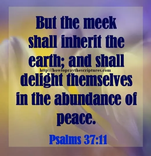 Promises of God To Claim