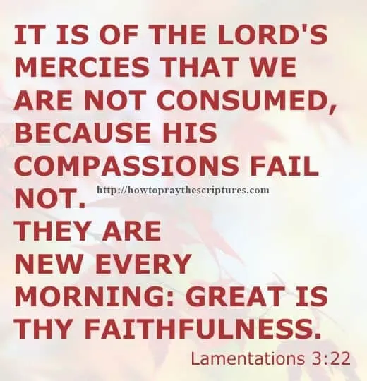 Where to Find Encouragement Bible Verses