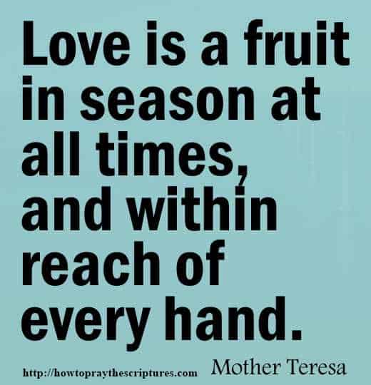 Mother Teresa Quotes For Today