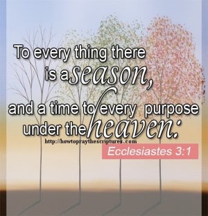 Bible Verses About Joy