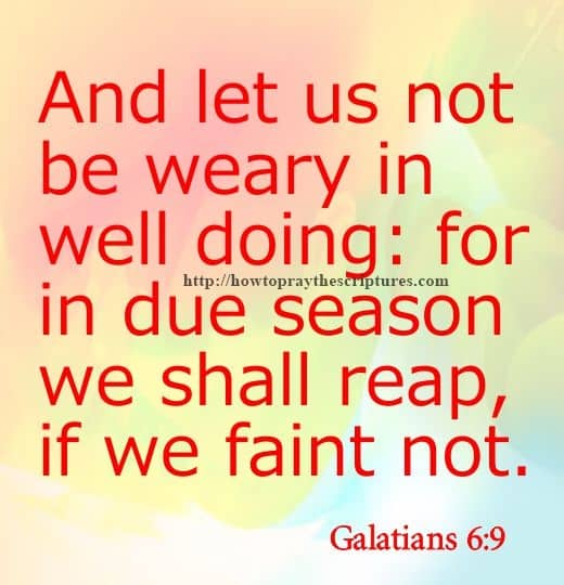And Let Us Not Be Weary Galatians 6-9
