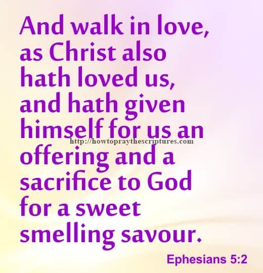 And Walk In Love Ephesians 5-2