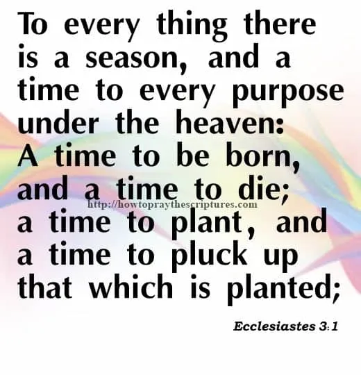 To Every Thing There Is A Season Ecclesiastes 3-1
