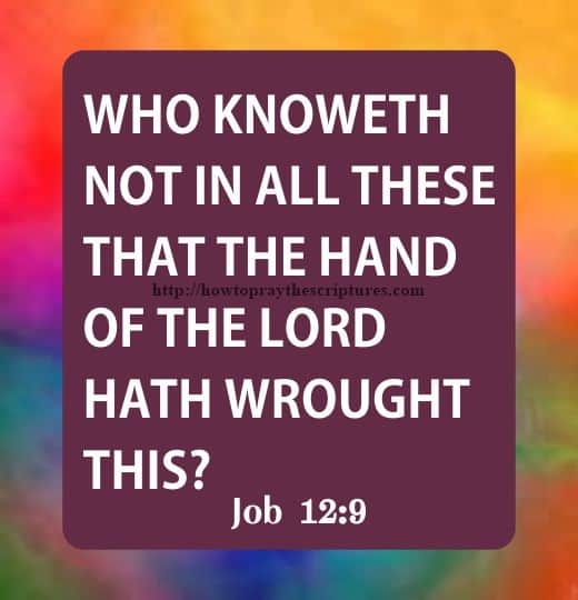 Who Knoweth Not In Job 12-9
