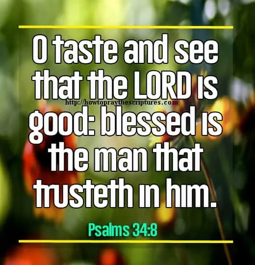 Bible Quotes About Trusting God