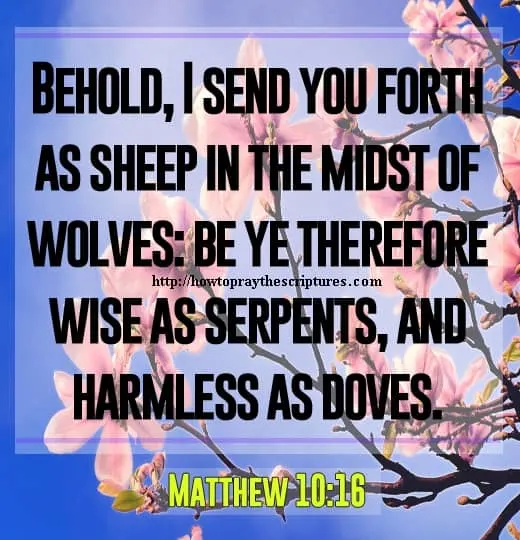 Bible Verses For Women