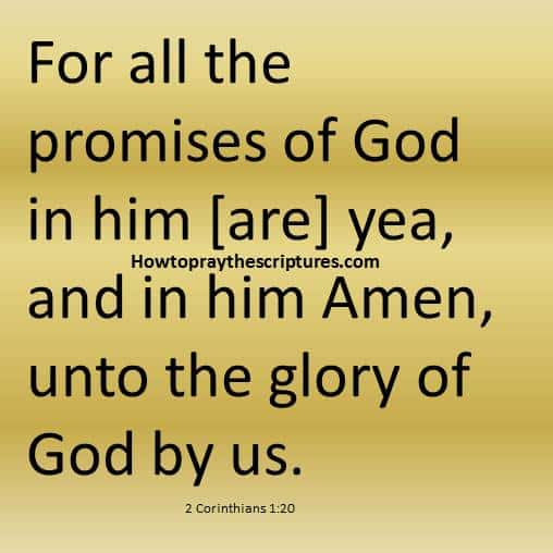 About The Promises Of God
