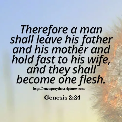 Bible Verses About Marriage