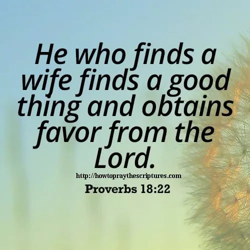 Bible Verses About Marriage