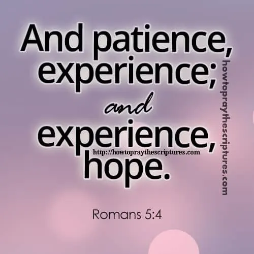 Bible Verses About Patience
