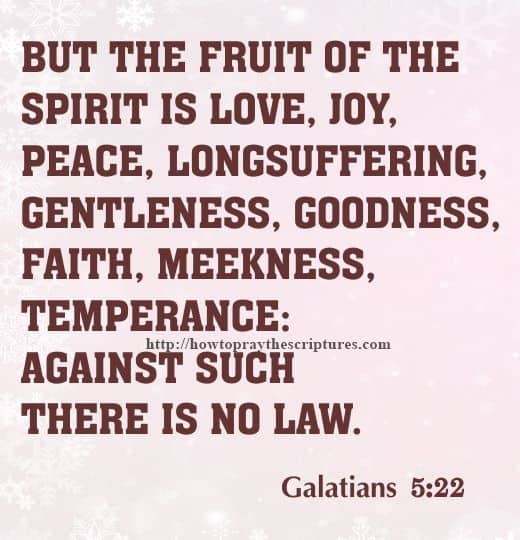 But The Fruit Of The Spirit Is Love Galatians 5-22