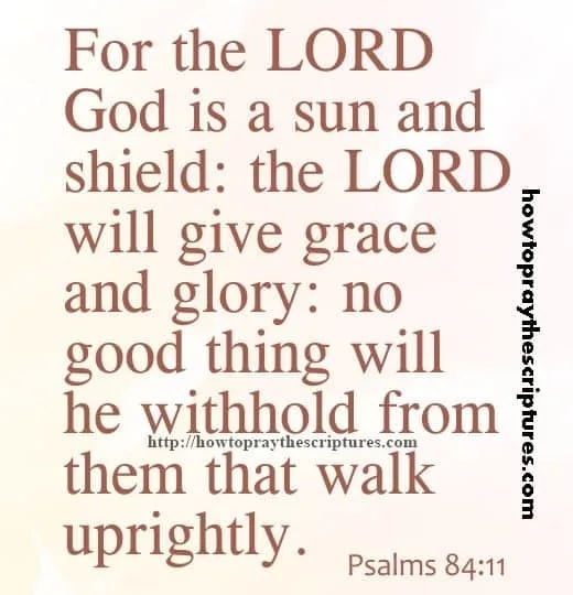 For The LORD God Is A Sun And Shield Psalms 84-11