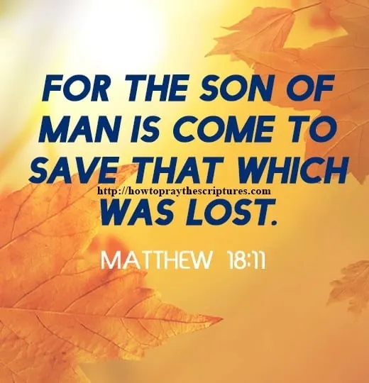 For The Son Of Man Is Come To Save Matthew 18-11