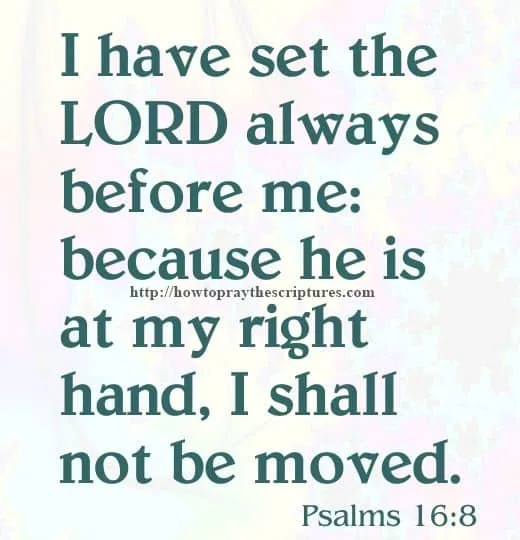 I Have Set The LORD Psalms 16-8