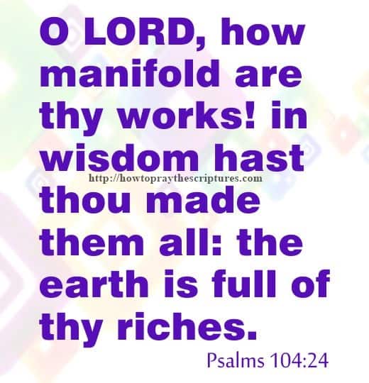 O LORD How Manifold Are Thy Works Psalms 104-24