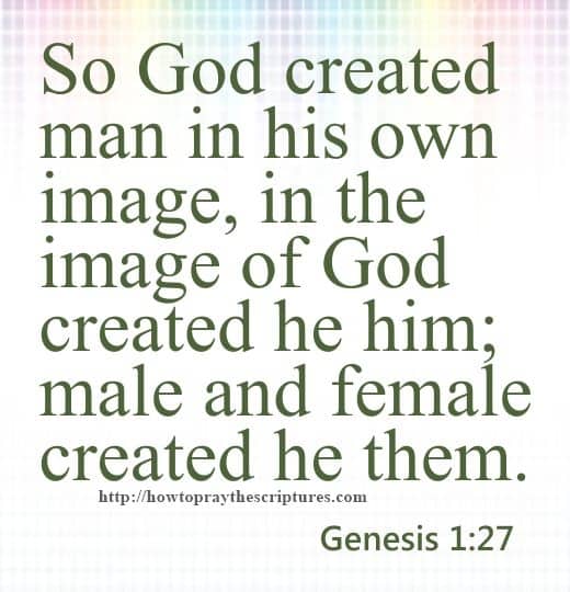 So God Created Man In His Own Image Genesis 1-27