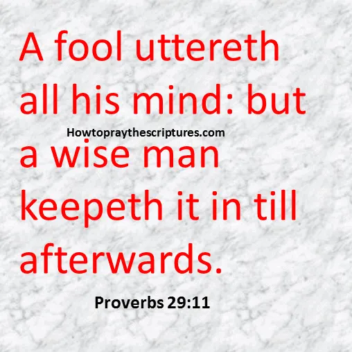 A Fool Uttereth All His Mind Proverbs 29-11