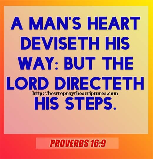 A Mans Heart Deviseth His Way Proverbs 16-9