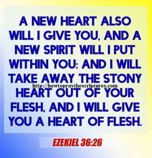 A New Heart Also Will I Give You Ezekiel 36-26