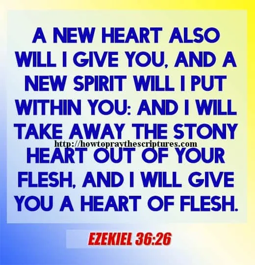 A New Heart Also Will I Give You Ezekiel 36-26