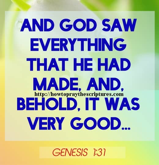 And God Saw Every Thing That He Had Made Genesis 1-31