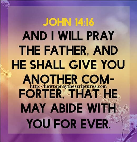 And I Will Pray The Father John 14-16