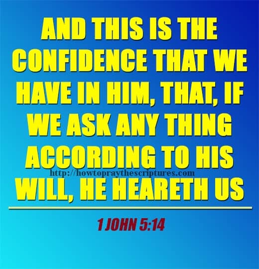 And This Is The Confidence That We Have 1 John 5-14