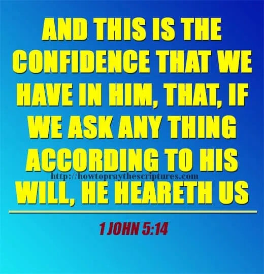 And This Is The Confidence That We Have 1 John 5-14