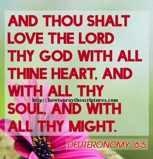 And Thou Shalt Love The LORD Thy God Deuteronomy 6-5