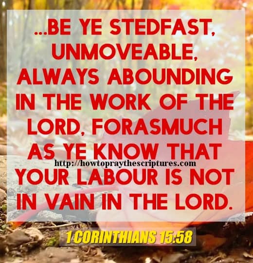 Be Ye Stedfast Unmoveable Always 1 Corinthians 15-58